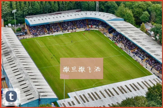 2026世界杯临近：多队阵容洗牌，新星与老将交织成赛场焦点